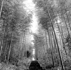 贵州长征文化之旅